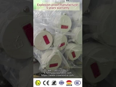 Explosion-proof Flameproof LED linear Fluorescent lamp lighting fixture