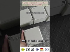 ExProof Flameproof Junction Box Enclosure for Hazardous Environments IP66 OEM 110-460VAC