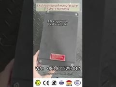 Whole plastic(GRP) ExProof Flameproof Control Panel Box ATEX CNEX Rated WF2 AC110/220/3800/460v