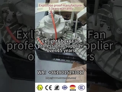 ATEX RoHS Explosion-proof LED light fixture with Cree Bead 180lm/watt for hazardous Zone 1