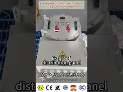Explosion Proof Illumination Distribution Panels/Box Control box