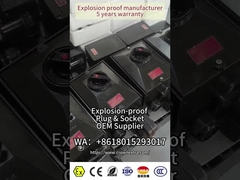 Explosion Proof Plug and Socket