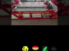 T8 Liner Anti-Corrosion Stainless Steel Grp Explosion Proof Fluorescent Lamp Single Tube