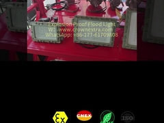 CRI Ra≥80 Explosion Proof LED Flood Light 50-300Watt for Hazardous Environments