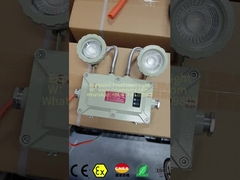 Flameproof Emergency Light