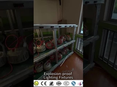 IECEx & ATEX Certified Explosion-Proof High Bay Light | GYD Series