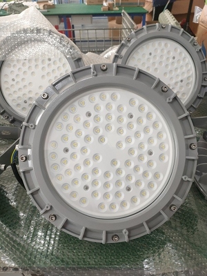 ATEX Approved Explosion Proof Led Light IP66 20-240W