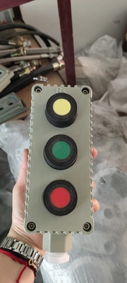 Electrostatic Spraying Explosion Proof Junction Box with Stainless Steel 316L Enclosure