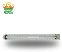 Zone 1 2 Safety Class Ⅱ and Protection Class Level Explosion Proof Fluorescent Light