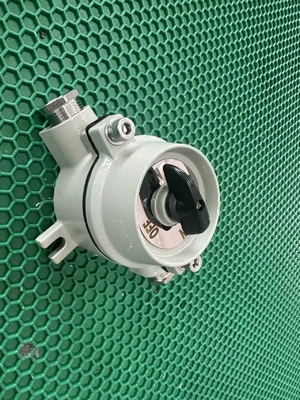 2 Poles Explosion Proof Switch Cable Entry G3/4'' for Chemical Storage Facilities