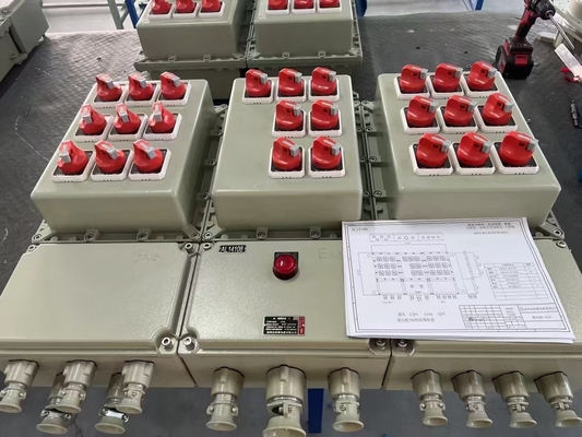 Intrinsically Safe IP66 Control Panels with Flameproof Enclosure