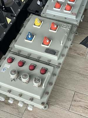Wall Mounting Type Flameproof Control Panels with Rated Current ≤225A and IP66 WF2 Protection Level