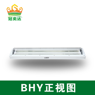 Crown Extra Explosion Proof Fluorescent Light Ex d e IIC T6 IP66