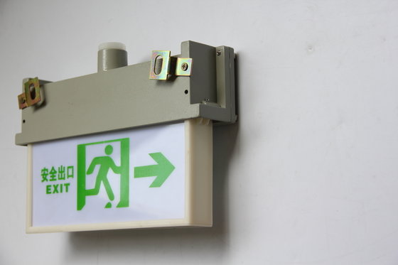 3w Flameproof Emergency Light with IP65 Degree and Customised Surface Pattern