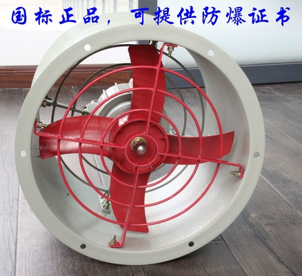Zone 1 2 Wall Mount Flameproof Ventilation Fans for Explosion-Proof Ventilation
