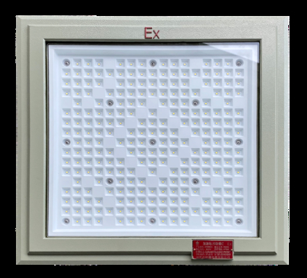 Zone2 Zone 21 Explosion Proof LED Flood Light IP66 Protection Bracket Mounting for Flexible Installation