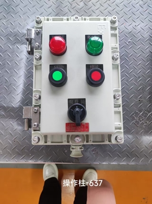 Explosion Proof 220V Flameproof Control Panel with Breaker Panel Cabinet