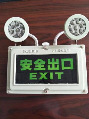 2*5w Double Head Wall Mounted 220VAC 50hz Led Emergency Light With ATEX Certificate For Hazardous Area