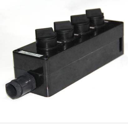 Voltage 50 60HZ Explosion Proof Switch Ex Marking Ex Db IIC T6 Gb Current 10A Providing Safety in Explosive Environments