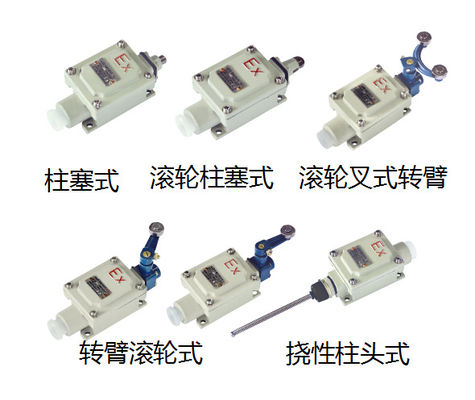 50/60HZ Voltage Explosion Proof Switch for Chemical Plant 2 Poles