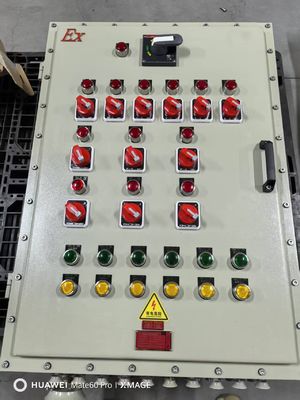 High quality Explosion Proof Control Panel IP66 WF2 Aluminum Alloy Wall Mounting