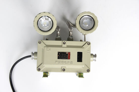 Explosion Proof Double-Headed Aluminium Alloy Shell Emergency Light 220VAC/24VDC Safety IP66 LED light