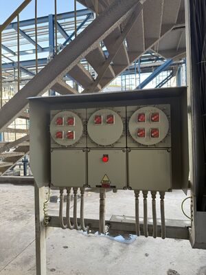 Corrosion Resistance IP 65 380V Electrical Flameproof Control Panels Explosion Proof Breaker Panel Cabinet