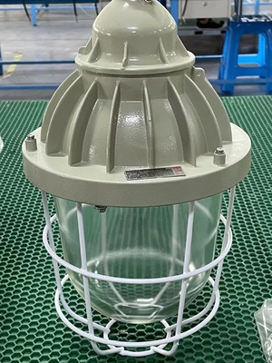 ATEX Explosion Proof HID Light IP55 Optional Lamp Shade 70-400W