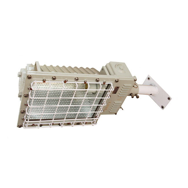 Cree Inesteriel Explosion-Proof LED Floodlight 50-300W for Hazardous Zones