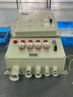 IP54/IP65/IP66 Protection Level Flameproof Control Panels for Hazardous Areas Outdoor