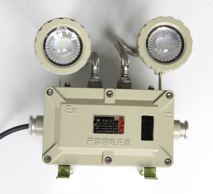 Aluminum tempered glass emergency light double point IP66 One-year warranty