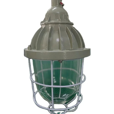 Certified IP65 Explosion Proof Ceiling / Pendant / Wall Mount Light