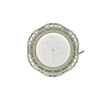 300w Explosion Proof Bay Light for Hazardous Locations Customizable Power Wide Beam Angle