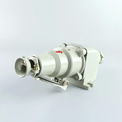 10A Explosion Proof Switch with IP65 Protection Ex Db IIC T6 Gb Rating Surface Mount Compatible