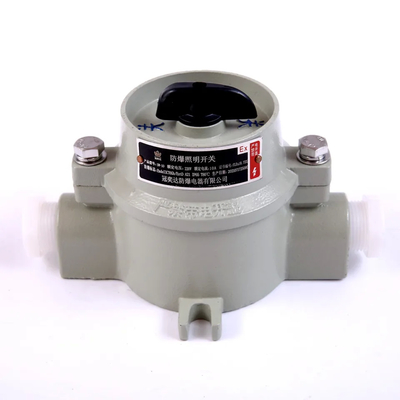 SW-10 2-Pole Explosion Proof Switch Corrosion Resistant Waterproof for Hazardous Environments