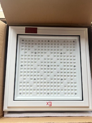 ATEX 18*18 Inch Square Shape Explosion Proof Light 100w 130lm/w Gas Station Light With Five Years Warranty