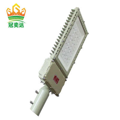 High efficiency 130lm/w IP66 and WF2 protection level anti-proof Flood light with street light mounting