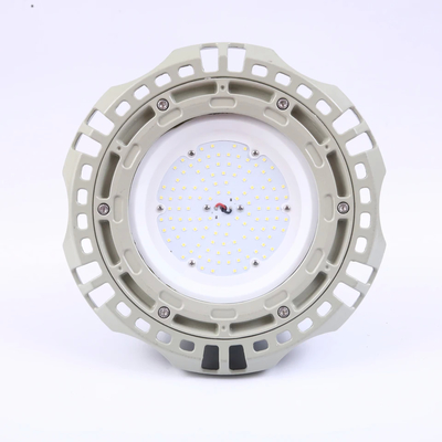Zone 1 2 Bracket Mount LED Floodlight with 500 000 Hour Lifetime