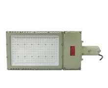 50W Ex Proof LED Flood Light with Brightness and various Mounting Options
