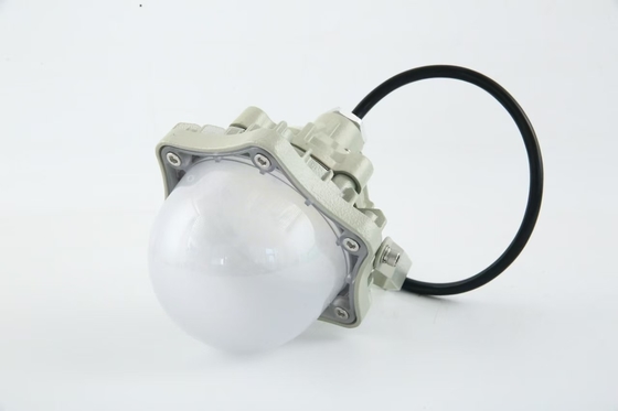 100W  Explosion Proof High Bay Light AC220V 50/60Hz IP66  with 70±2CRI New Design Best Selling Products Price Workshop