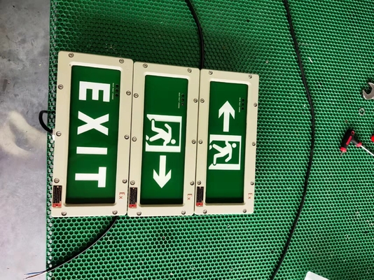 OEM Compact Explosion-Proof Emergency Exit Lights – CRI ≥70, ATEX / IECEx / RoHS / CNEX / ISO9001 Certified, Customizable Design for Hazardous Areas
