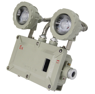Explosion Proof Emergency Light Ex Db Eb IIC T6 Gb/Ex Tb IIIC T80.C Db 3000/4000/5000/5700K Sound Alarm