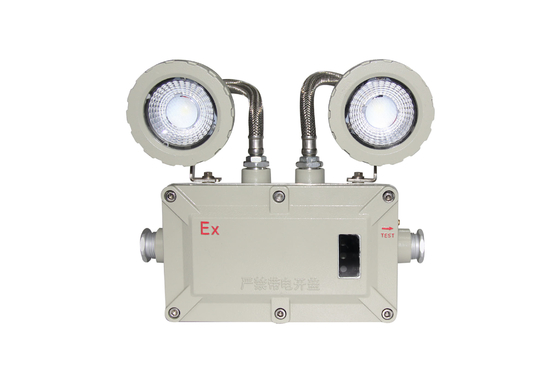 Explosion Proof Emergency Light with Color Temperature Options and Alarm 2*3w