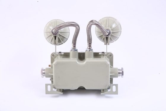 Aluminum tempered glass emergency light double point IP66 One-year warranty