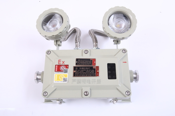 ATEX Explosion-Proof 2*3W LED Emergency Light IP66 Explosion-proof Gas Station Double Headlight 220V 380V