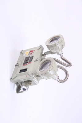 Flameproof Wall or Ceiling Emergency Light With 90/120/180mins 2*5w