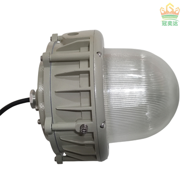 Explosion Proof LED Lighting luminaries 100lm/w CREE LED Beads With MEANWELL Driver Available For Ceiling
