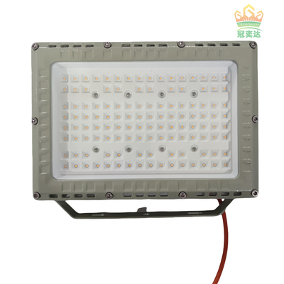 MEANWELL Drive IP66 Outdoor LED Floodlight Custom Color 100-277V Market 100W