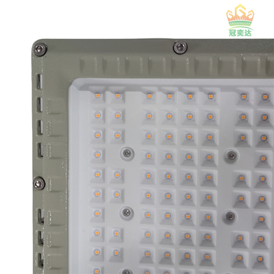 MEANWELL Drive IP66 Outdoor LED Floodlight Custom Color 100-277V Market 100W