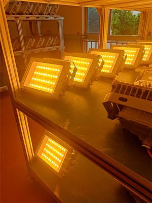 50W 100W 200W 250W Explosion Proof LED Flood Light Certified ATEX IECEx RoHS CNEX ISO9001